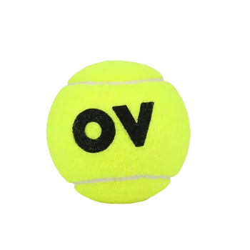  DUNLOP AO Откритото Първенство на Австралия По Тенис Топка Тръба Ирландската Вълна Професионални Състезания, Спортни Топки за Тенис под Високо Налягане